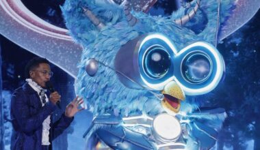 The Masked Singer Season 14 Episode 6 Recap: Owl Revealed