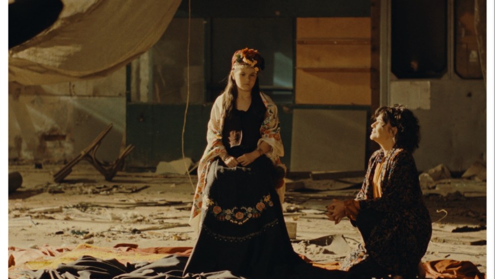 A Deeply Moving Reflection on Immigrant Identity