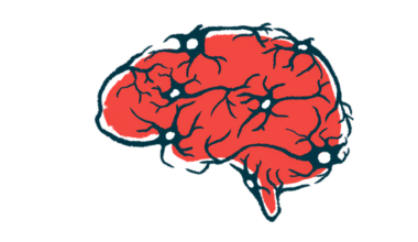 An illustration shows a human brain.