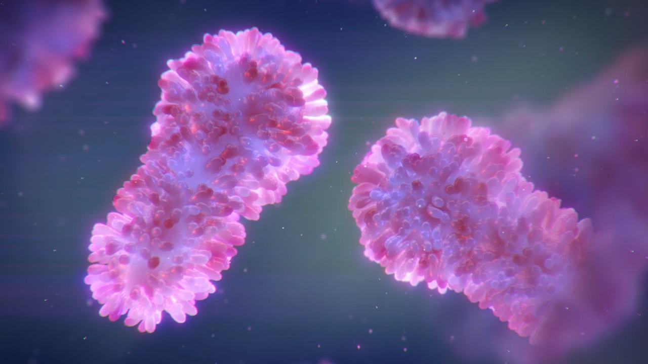 Microscopic view of a giant virus particle with complex surface structures captured in a lab visualization