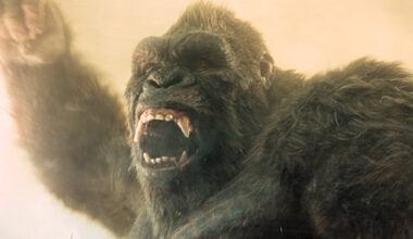 New Movies and Shows Streaming in February: What to Watch on Netflix, Prime Video, Disney+, HBO Max and More