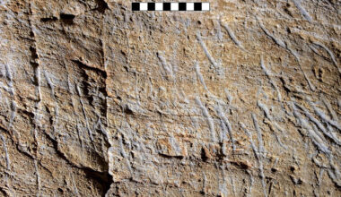 Bear scratch marks on the wall of the Bàsura Cave, Toirano, Liguria