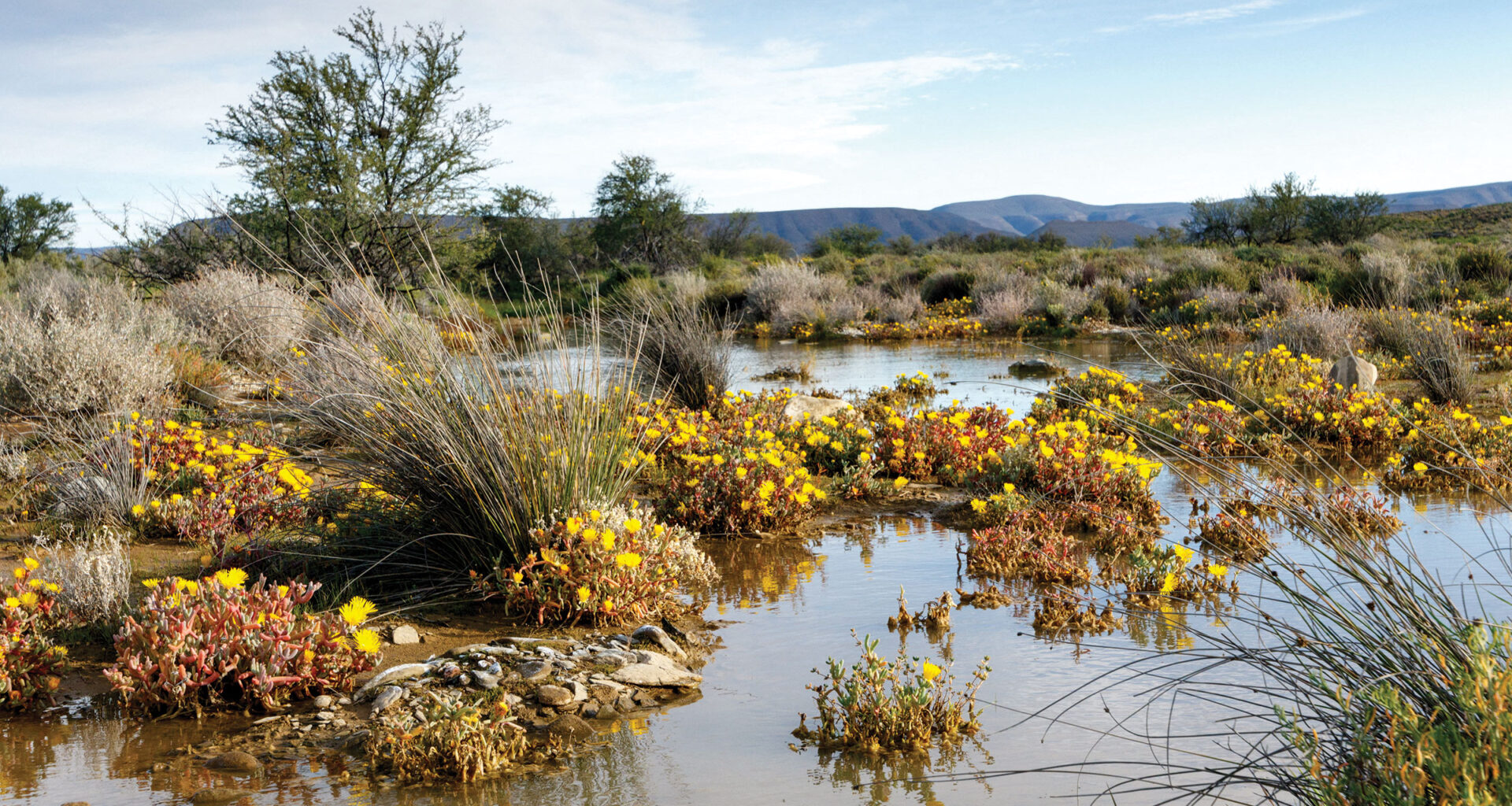 How COVID shutdowns led to a methane surge