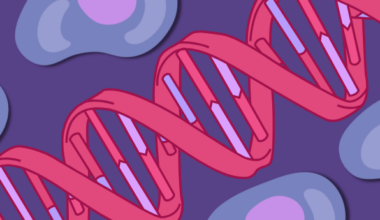 Novel CRISPR Technique Harnesses Natural Gene Activation