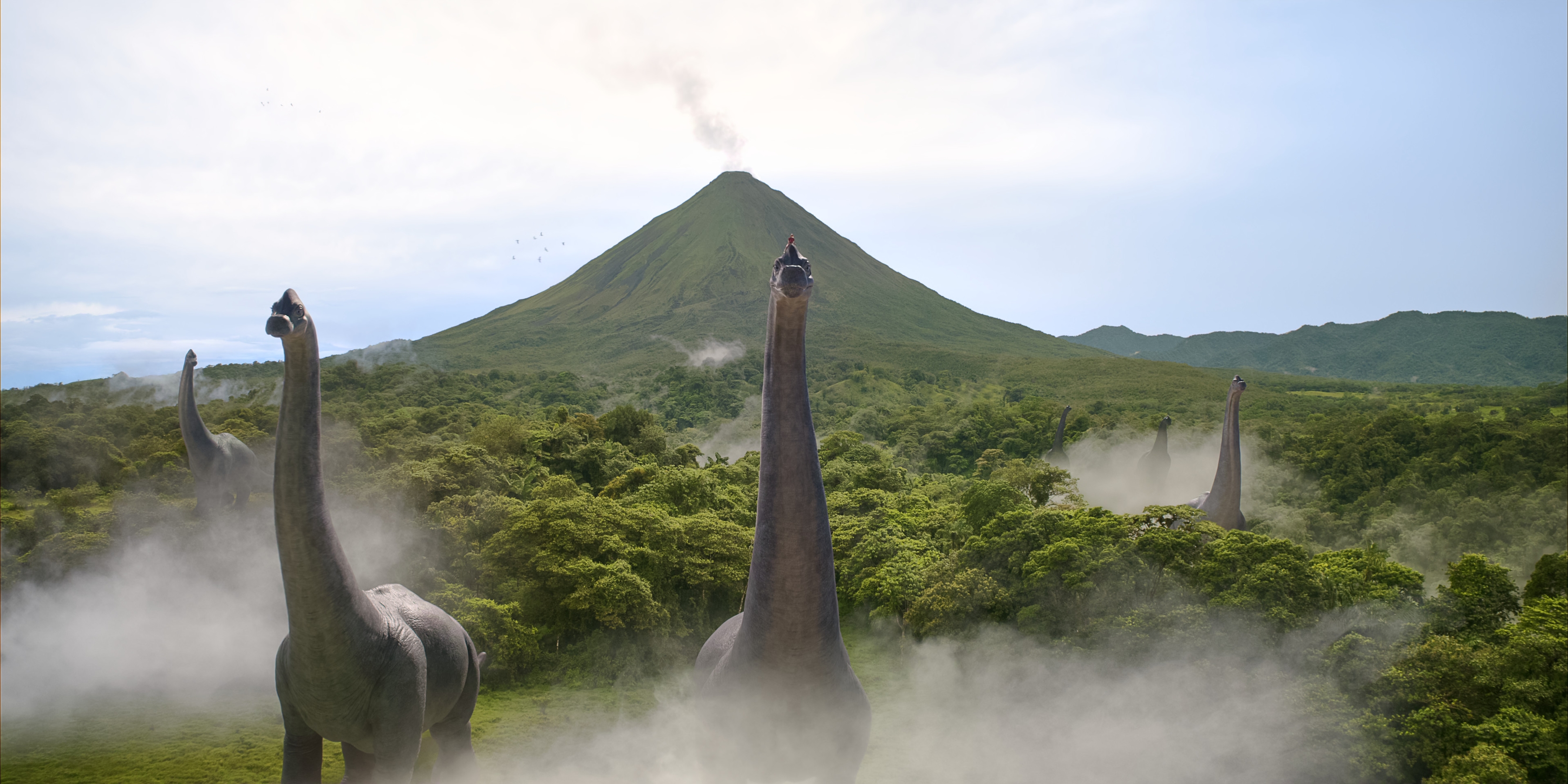 One Piece N S2 00 14 03 14R