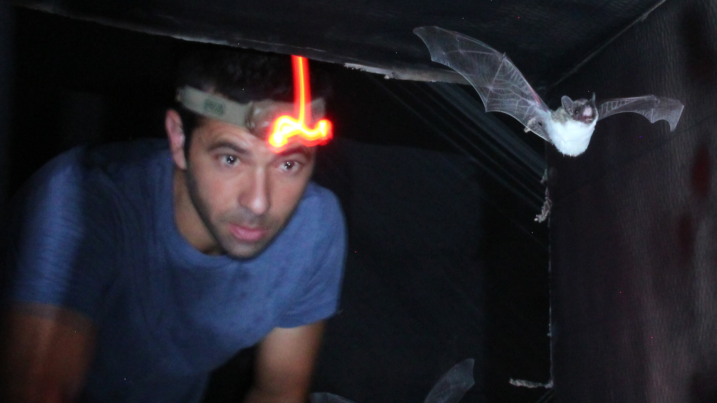 Professor Yovel, in his element