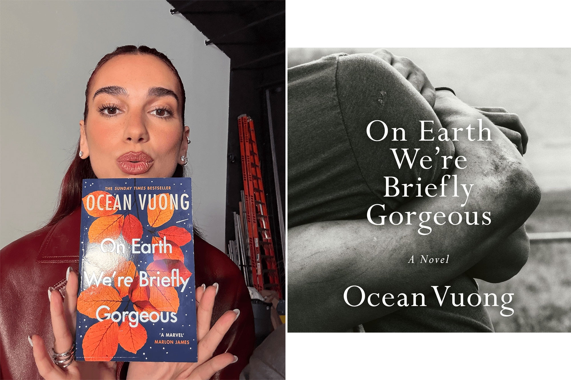 On Earth We're Briefly Gorgeous