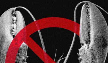 Meta and Other Tech Firms Put Restrictions on Use of OpenClaw Over Security Fears