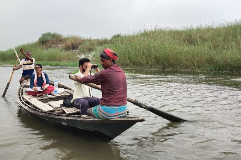 Scientists monitor released gharials in the Ganga River. In February 2024, 37 juvenile gharials were released in the Ganga in Murshidabad, West Bengal, in a coordinated effort between the West Bengal Forest Directorate and WWF-India. Image by Mohd Shahnawaz Khan/WWF India.