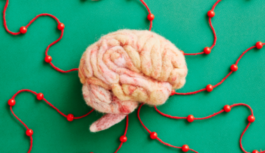 A human brain model made by needle felting.
