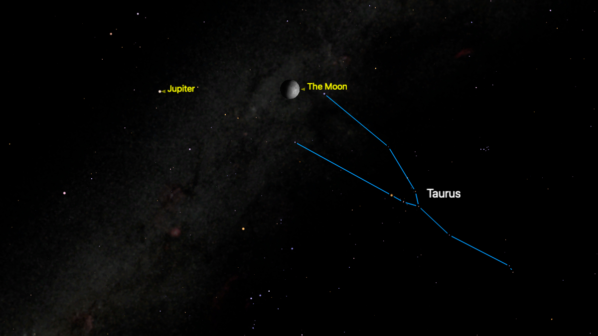 A simulation of the night sky for Feb. 25, showing the waxing gibbous moon between the stars representing the horns of the bull in the constellation Taurus, the stars of which are connected by a blue line. Jupiter is labelled to the left of the moon in yellow.