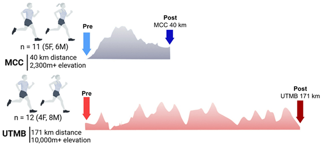 Race running graphic