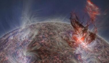 Researchers Track Complex Turbulence In The Sun's Corona, Revealing The Mechanics Of Solar Wind