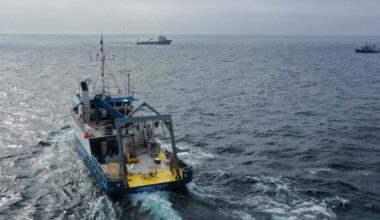 Ocean geoengineering trial finds no evidence of harm to marine life