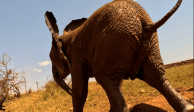 "My heart sank. I could see how helpless the mother looked, and I could only imagine how frightened and exhausted her baby must have been"