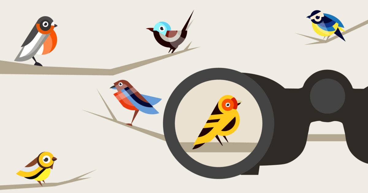 Six Types of AI Startups, Explained