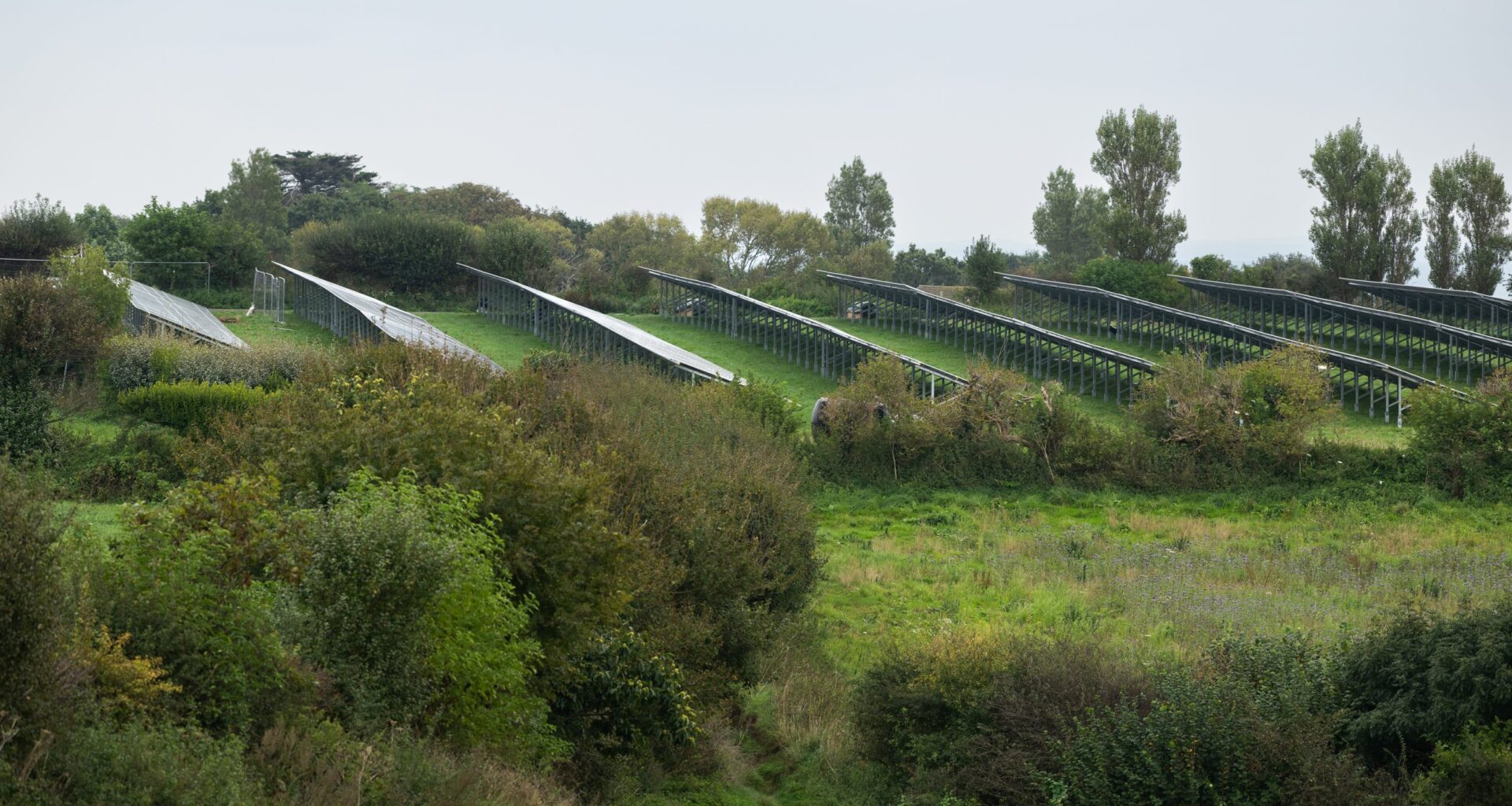 Hundreds back petition opposing ground-mounted solar on farmland