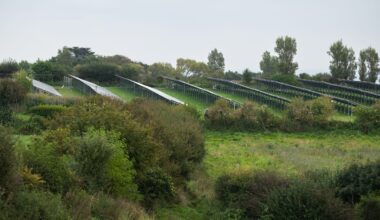 Hundreds back petition opposing ground-mounted solar on farmland