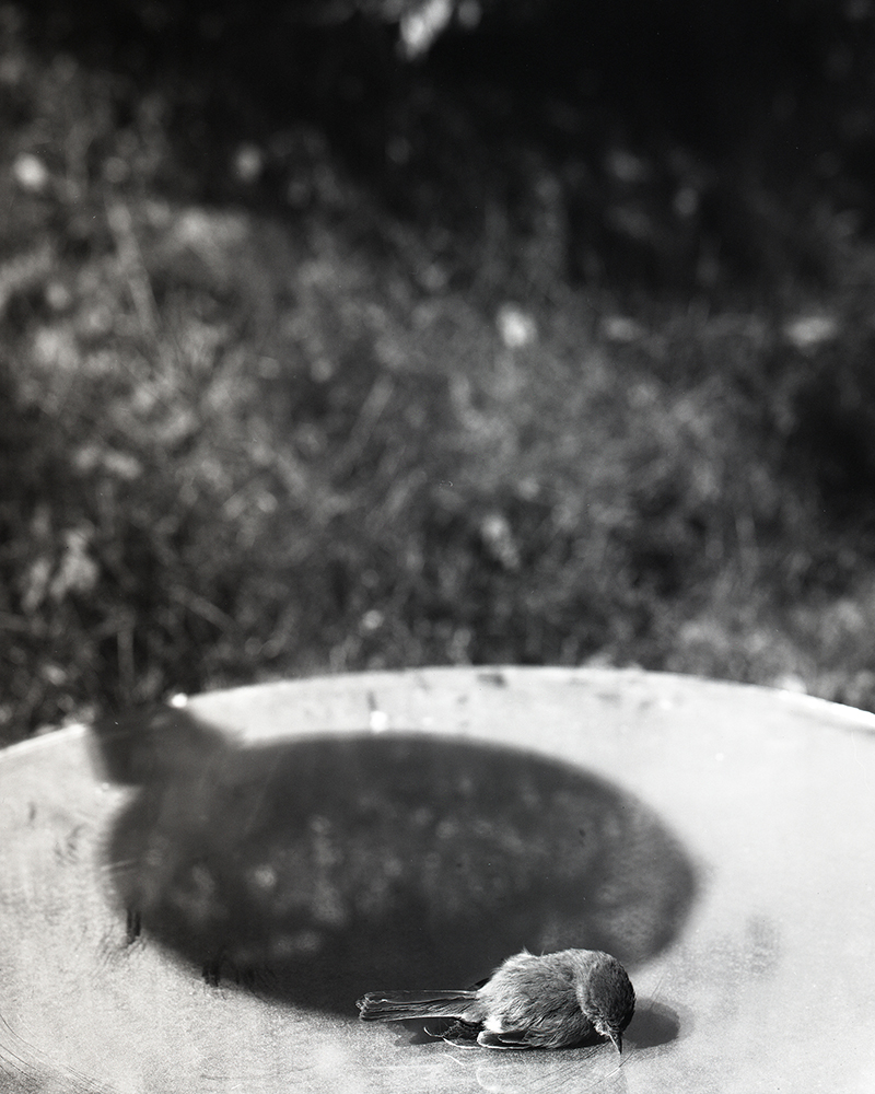 St. Onge_untitled 13