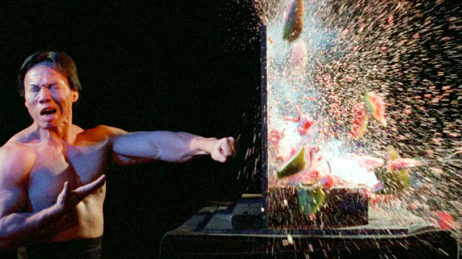 Martial Arts TC 2000