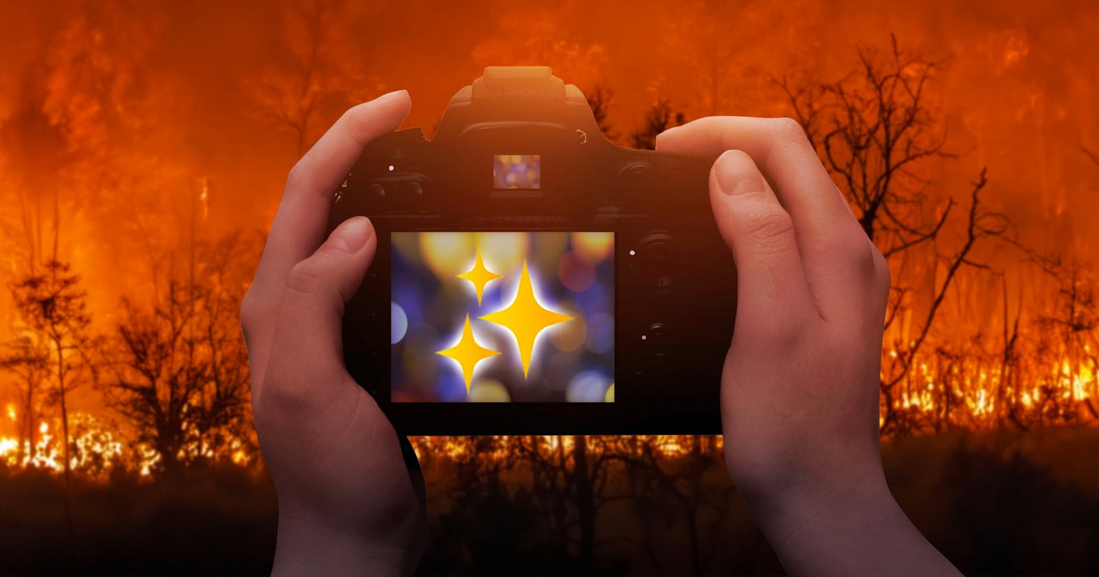 A person holds a camera, aiming at a forest fire. The background shows burning trees and orange flames, but the camera screen displays a blurred image of bright, glowing star shapes instead of the fire.