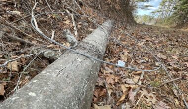 ‘Radical tree trimming’ by Duke Energy contractors in Weaverville? Why no streetlights for Long Shoals Road? • Asheville Watchdog