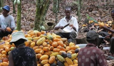 Ghana sets 2030 deadline to overhaul cocoa financing and end raw mineral exports