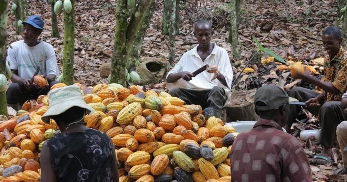 Ghana sets 2030 deadline to overhaul cocoa financing and end raw mineral exports