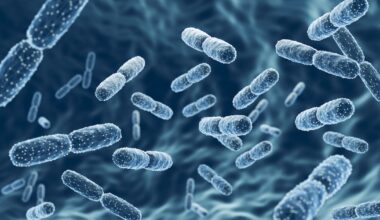 Vitaquest doubles probiotic capacity with New Jersey facility