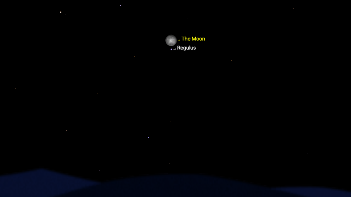 A simulation of the night sky for Feb. 2 showing the near-full moon above the bright star Regulus in the night sky.