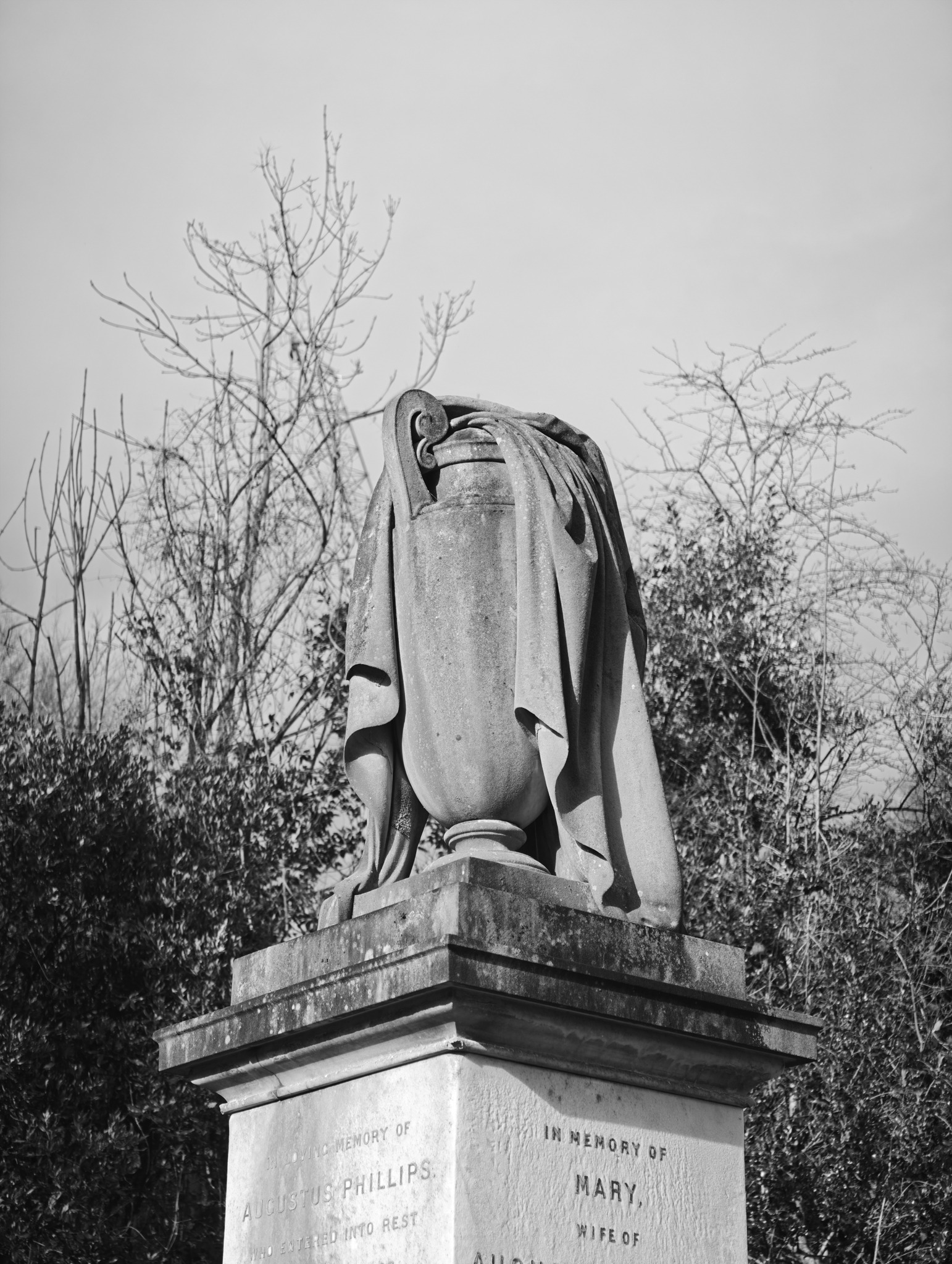 A photo taken on a Leica Leitzphone 200MP smartphone camera