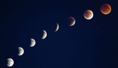 A composite image showing the different phases of a total lunar eclipse arrayed in an arc travelling from bottom left to top right.
