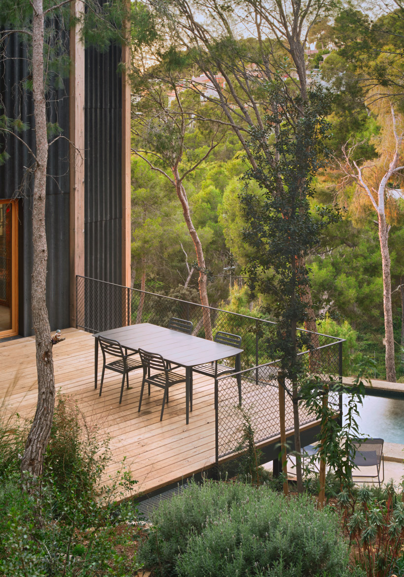 lightweight timber house in spain interlaces three raised volumes within tree canopy