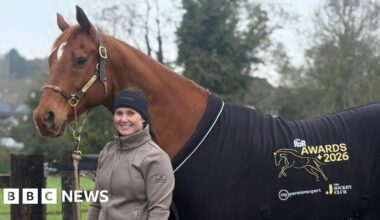 Failed Essex racehorse wins national retraining award - BBC