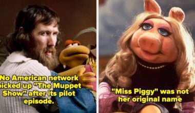 The Muppet Show: 19 Surprising Behind-The-Scenes Facts