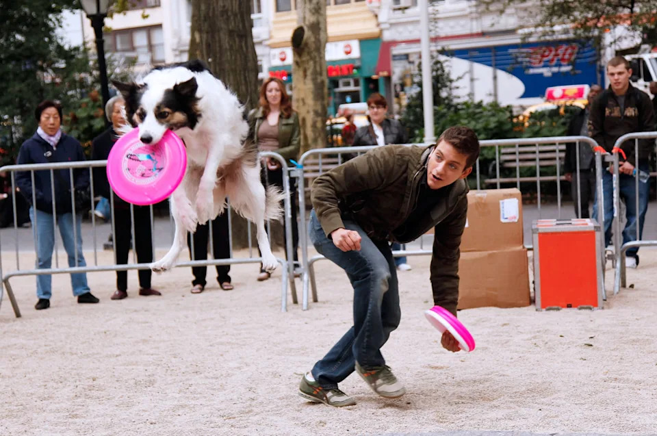 <p><a href="https://www.gettyimages.com/detail/news-photo/personality-and-dog-trainer-zak-george-attends-animal-news-photo/91311002" rel="nofollow noopener" target="_blank" data-ylk="slk:Photo by Joe Kohen on Getty Images;elm:context_link;itc:0;sec:content-canvas" class="link ">Photo by Joe Kohen on Getty Images</a></p>