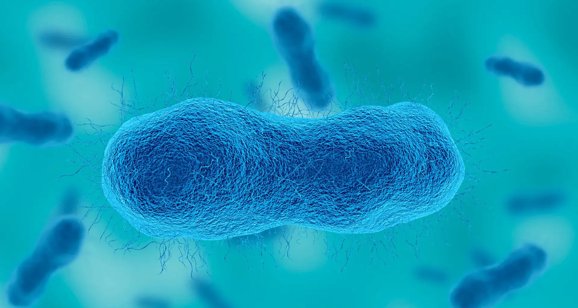 Scientists found a sugar that could defeat deadly superbugs