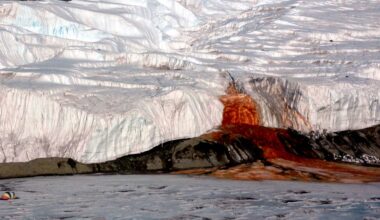 Antarctic researchers solve long-standing Blood Falls mystery