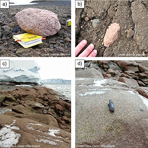 Examples of pink granite rocks in the Pine Island Glacier region. (A) Pink granitic erratic (MM-02) perched on bedrock in the Hudson Mountains. (B) Granitic clast within tuffaceous bedrock at World’s End Bluff. (C) Pink granitic bedrock at Sif Island. (D) Close-up view of Sif Island bedrock (handheld GPS for scale). Credit: Nature Communications Earth & Environment