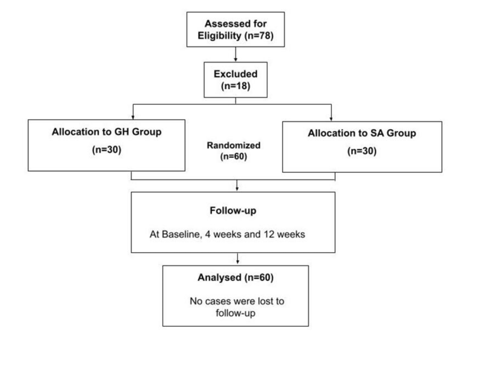 A Prospective Randomized Study Comparing Glenohumeral and Subacromial Corticosteroid Injections in the Management of Primary Frozen Shoulder