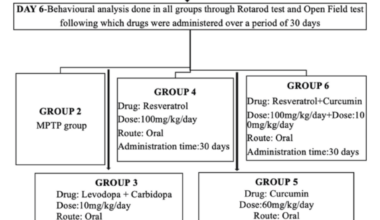 Natural Polyphenols Versus Standard Therapy: Effects on Neuroinflammation and Alpha-Synuclein Expression in a 1-Methyl-4-Phenyl-1,2,3,6-Tetrahydropyridine (MPTP)-Induced Mouse Model of Parkinson’s Disease