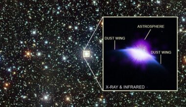 This composite infrared and optical image shows the young Sun-like star HD 61005, about 120 light-years away. The zoomed-in image is made of x-ray observations from Chandra and Infrared observations from the Hubble. It shows how the young star is blowing "bubbles," or inflating its astrosphere. Image Credit:  X-ray: NASA/CXC/John Hopkins Univ./C.M. Lisse et al.; Infrared: NASA/ESA/STIS; Optical: NSF/NoirLab/CTIO/DECaPS2; Image Processing: NASA/CXC/SAO/N. Wolk