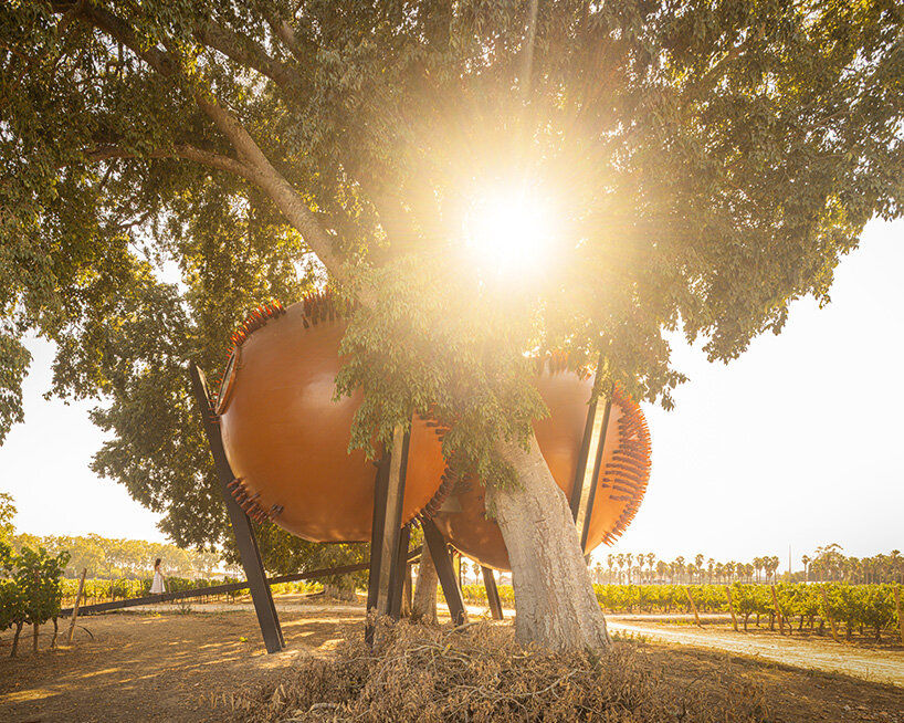 Átomos rebelo de andrade
