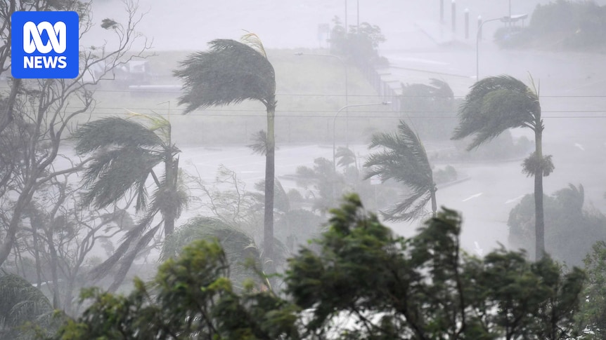 What is the difference between a tropical low and cyclone in northern Australia?