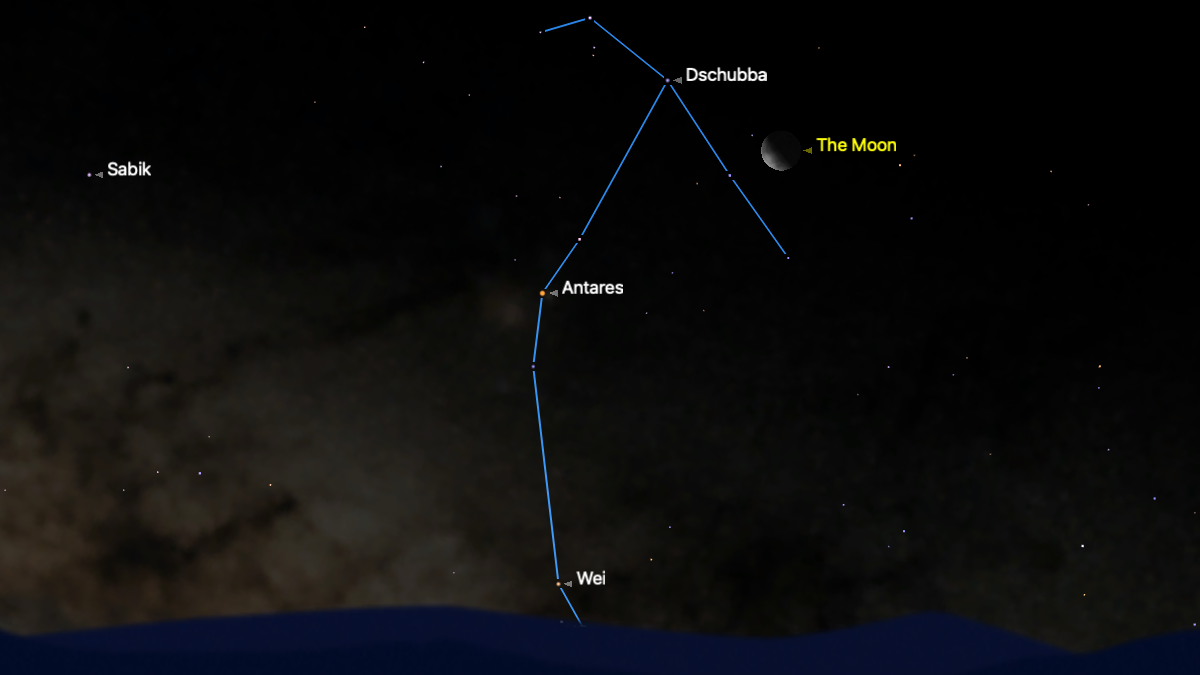 A simulation of the night sky for Feb. 10 showing the waning crescent moon to the upper right of the stars of the constellation Scorpius, which are joined by a teal line above the horizon. The Milky Way is depicted glowing to the left of the screen.