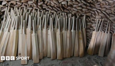 A collection of cricket bats not yet finished in a workshop