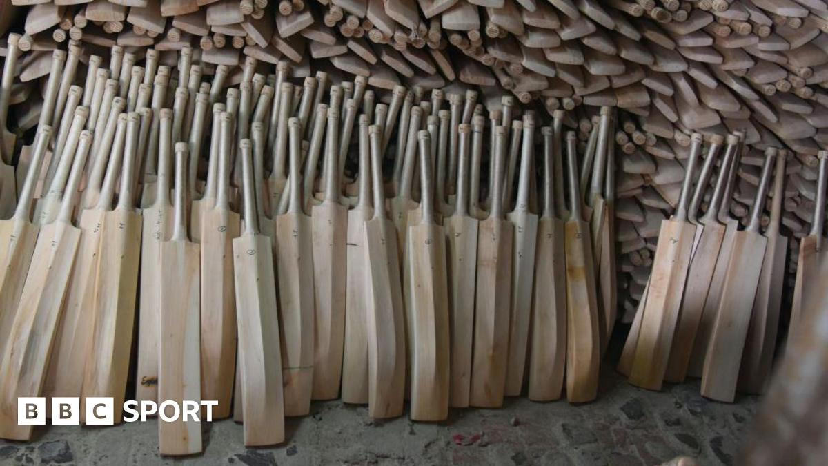 A collection of cricket bats not yet finished in a workshop