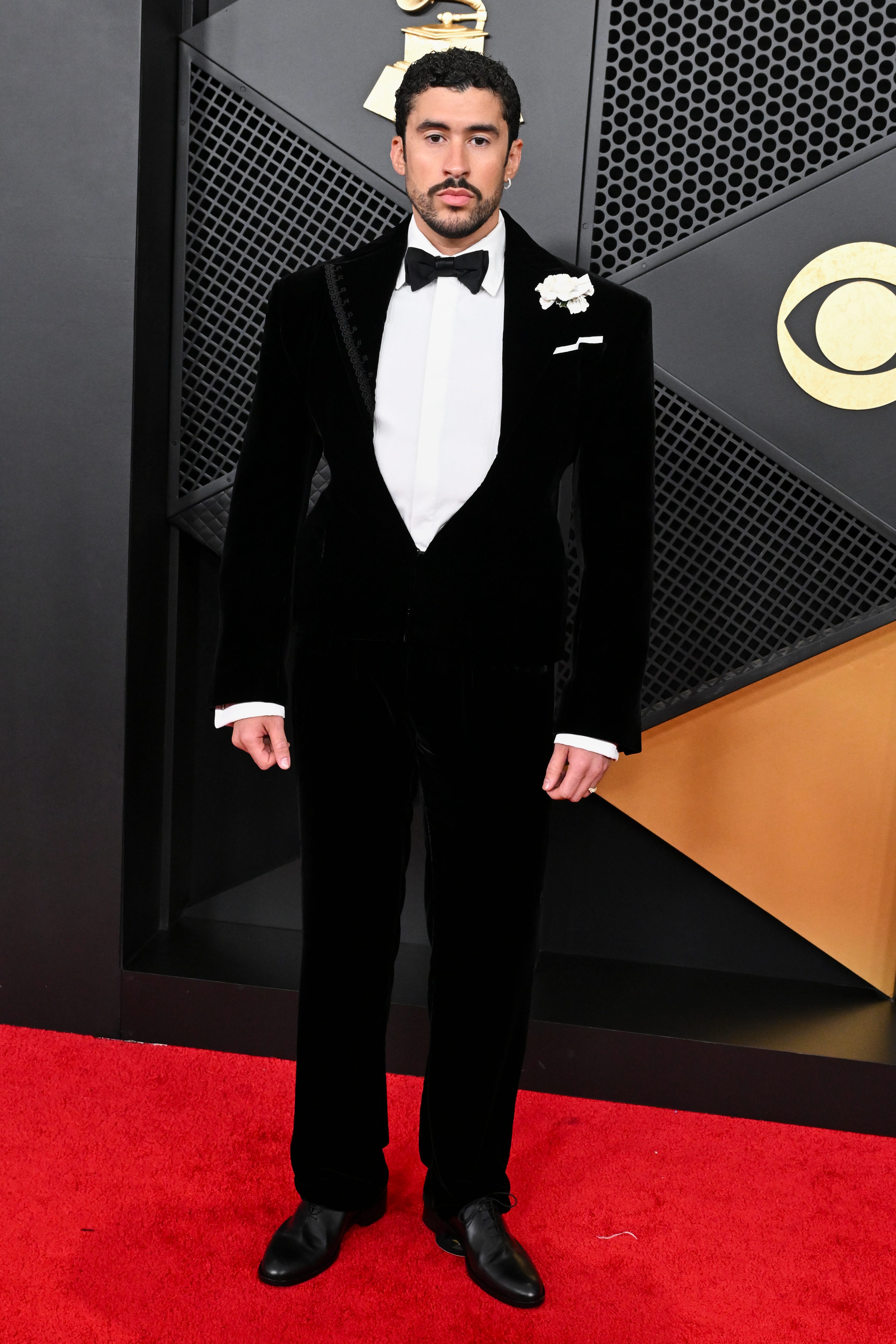 the 68th annual grammy awards