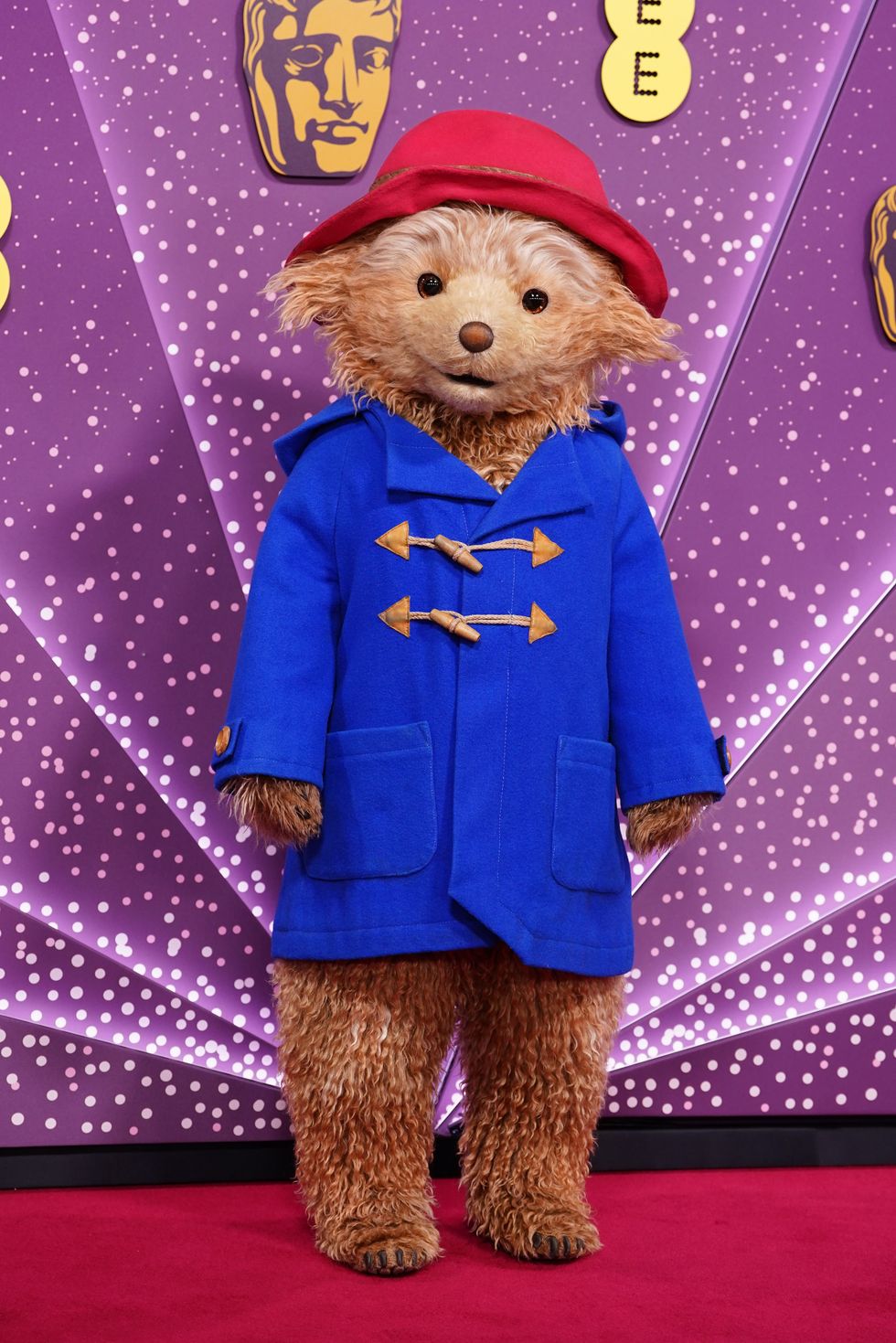 Baftas 2026 red carpet: Paddington