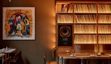 Backlit shelving with vinyl records